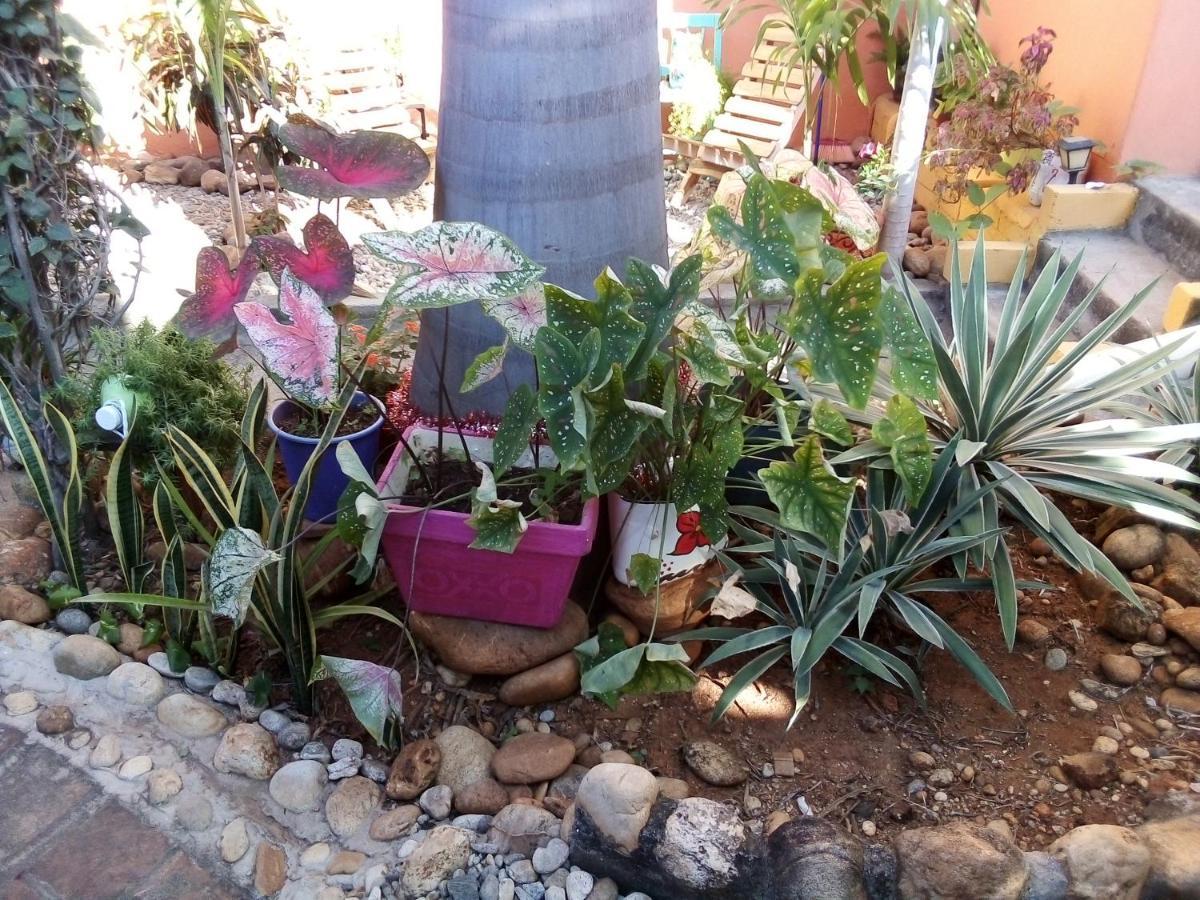 Casa Gio Villa Puerto Escondido  Eksteriør bilde