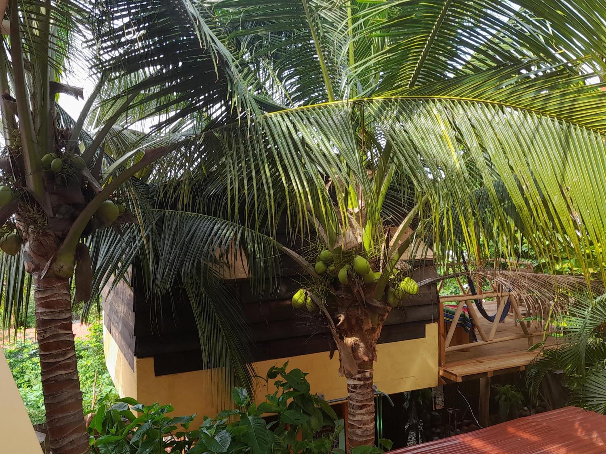 Casa Gio Villa Puerto Escondido  Eksteriør bilde